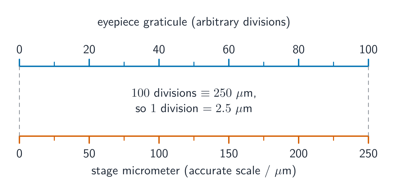 Two scales lined up: an eyepiece graticule marked 0 to 100 above a stage micrometer marked in micrometres below, with the calibration worked out