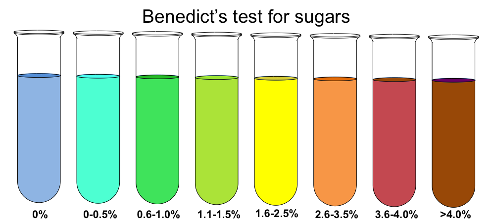 A row of test tubes from blue through green and orange to brick-red