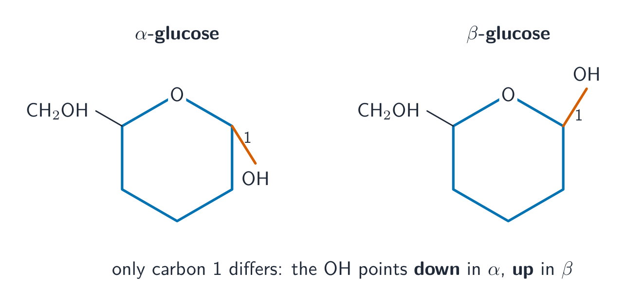 La glucosa alfa y beta difieren únicamente en el carbono 1