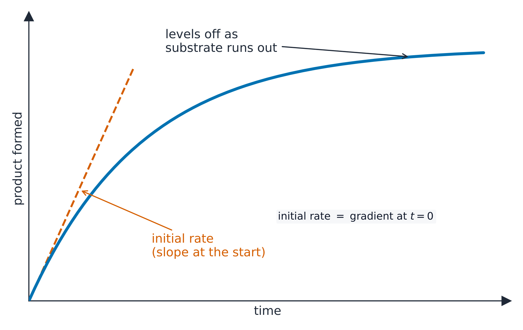 A curve of product formed against time that is steepest at the start and levels off; a dashed tangent at time zero marks the initial rate