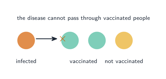 An infected person whose disease is blocked from passing through vaccinated people, so an unvaccinated person nearby is protected