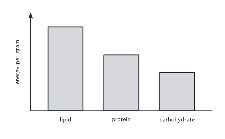 A bar chart: lipids release the most energy per gram, then proteins, then carbohydrates