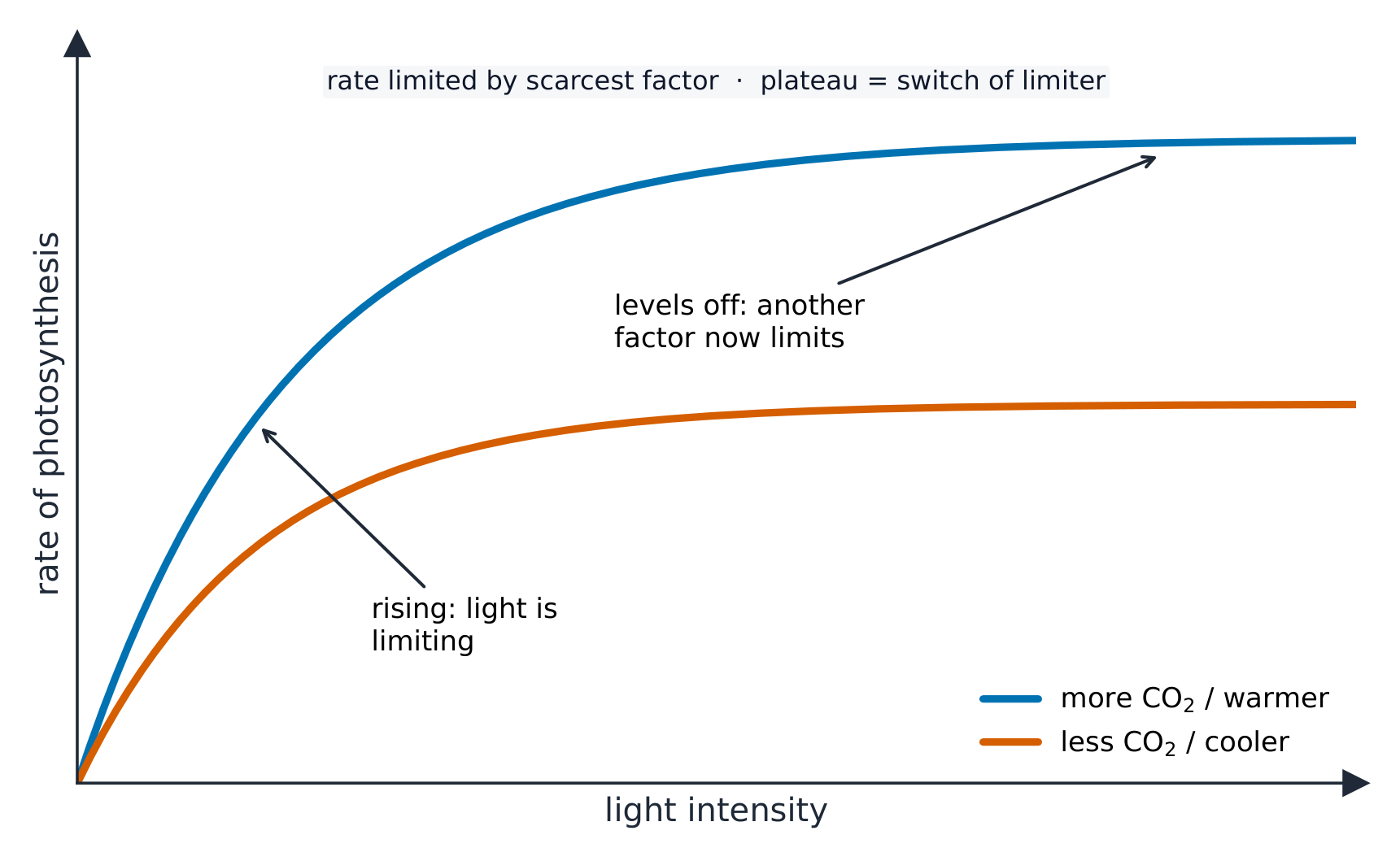 Two curves of photosynthesis rate against light intensity that rise and then level off, the higher one with more carbon dioxide or a warmer temperature