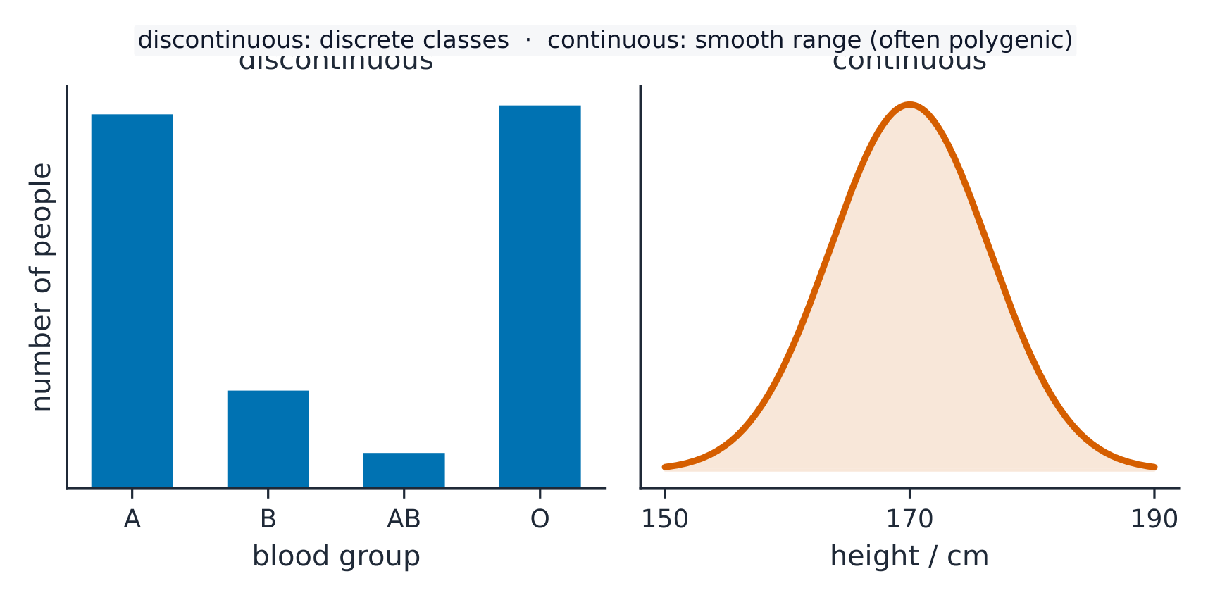 Two graphs: a bar chart of blood groups with separate bars (discontinuous), and a smooth bell-shaped curve of height (continuous)