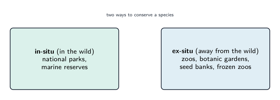 Two boxes: in-situ conservation such as national parks and marine reserves, and ex-situ conservation such as zoos, botanic gardens, seed banks and frozen zoos