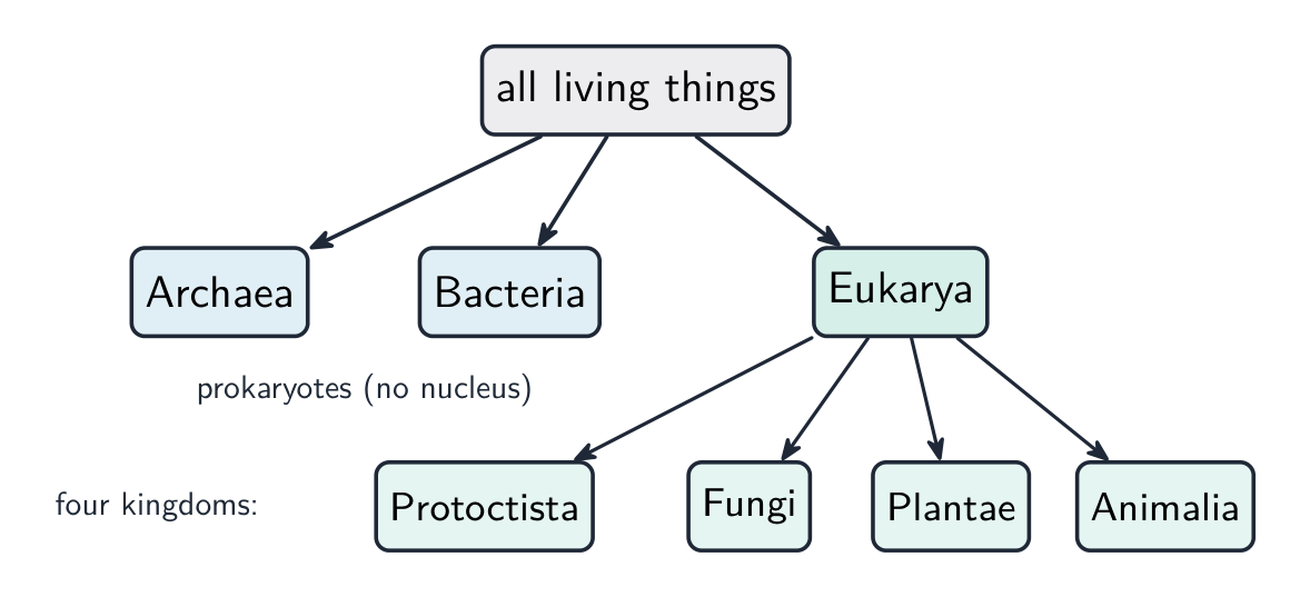 A tree showing all living things splitting into three domains — Archaea, Bacteria and Eukarya — with the Eukarya then splitting into the four kingdoms Protoctista, Fungi, Plantae and Animalia