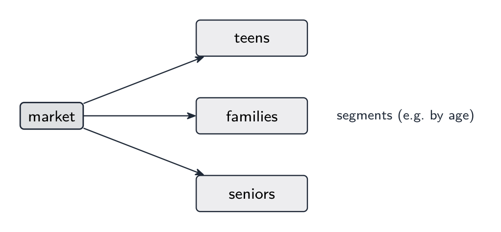 A market split into segments by age, income and lifestyle, so each group gets the right product