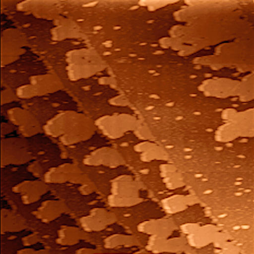 A scanning tunnelling microscope image of atoms