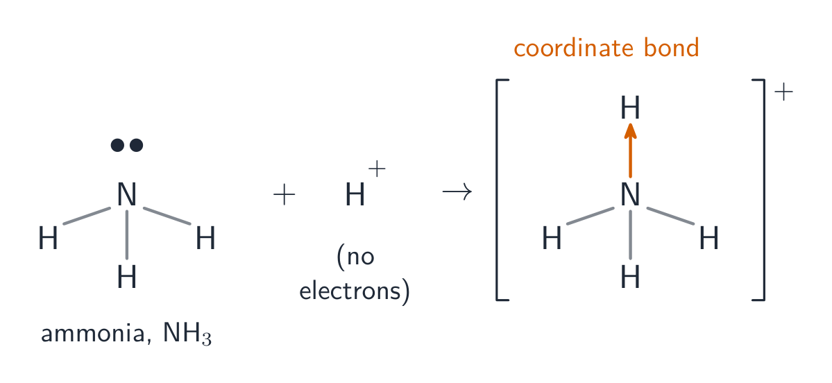 Ammonia's lone pair forming a new bond to an incoming hydrogen ion, shown as an arrow, to make the ammonium ion in brackets with a plus charge