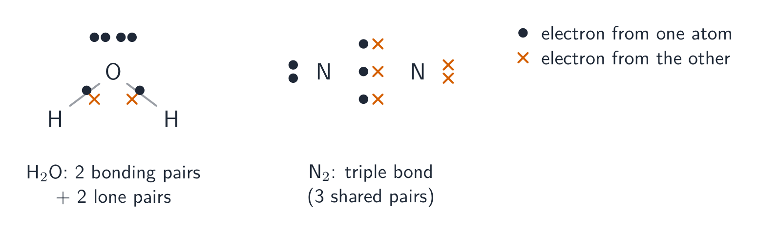 Dot-and-cross diagrams for water and nitrogen: water shows two bonding pairs and two lone pairs on oxygen, nitrogen shows three shared pairs and a lone pair on each atom