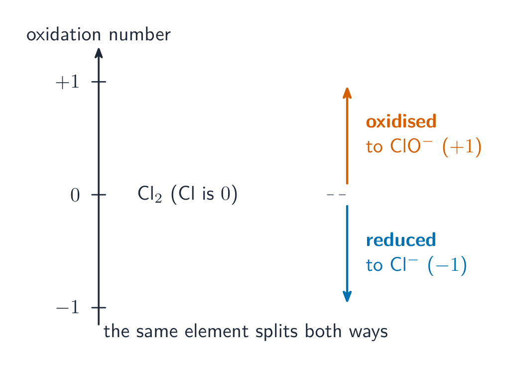An oxidation-number line showing chlorine at 0 going up to +1 in ClO- and down to -1 in Cl-