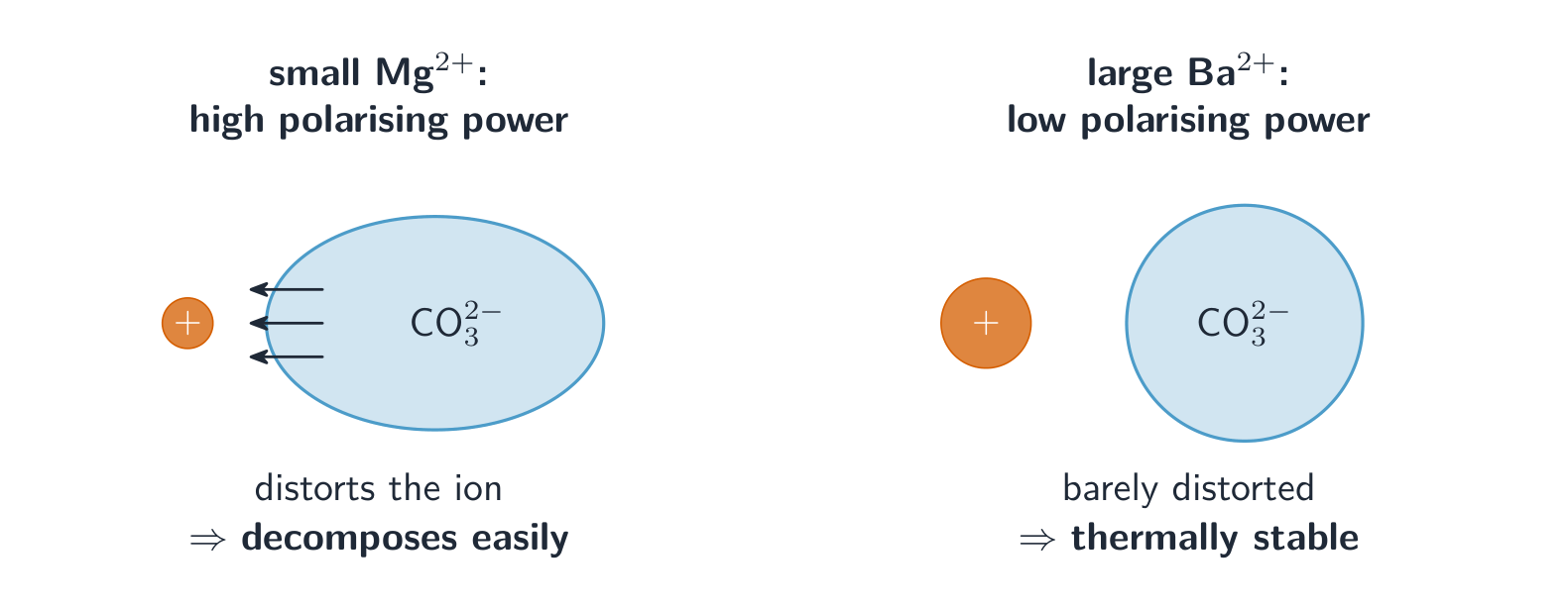 A small magnesium ion strongly distorting a carbonate ion next to a large barium ion that barely distorts it