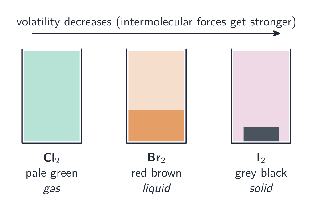 Three gas jars: chlorine as a pale green gas, bromine as a red-brown liquid, iodine as a grey-black solid