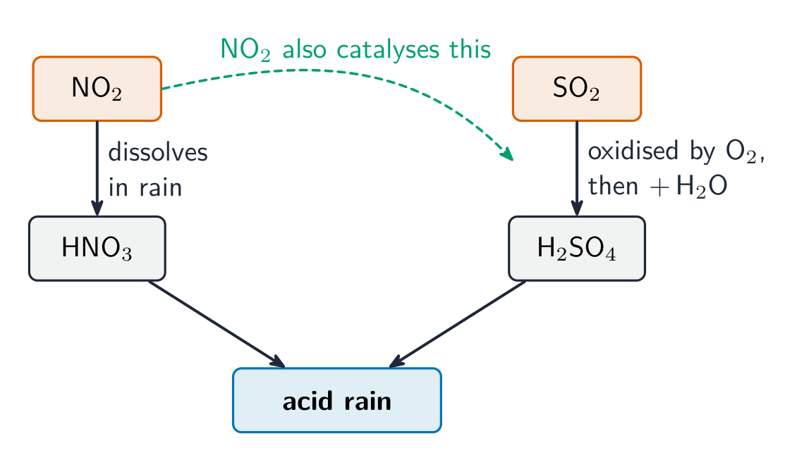 A flow diagram: NO2 forms nitric acid and SO2 forms sulfuric acid, with NO2 also catalysing the sulfur path, both leading to acid rain