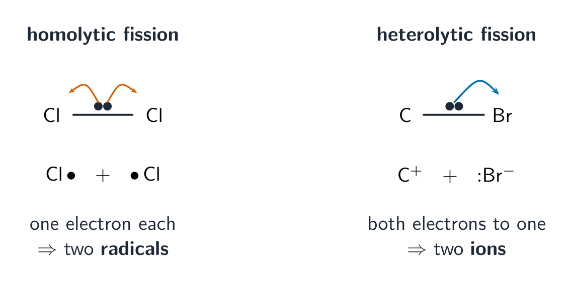 Homolytic fission splitting a Cl–Cl bond into two chlorine radicals; heterolytic fission sending both bonding electrons to bromine to give two ions