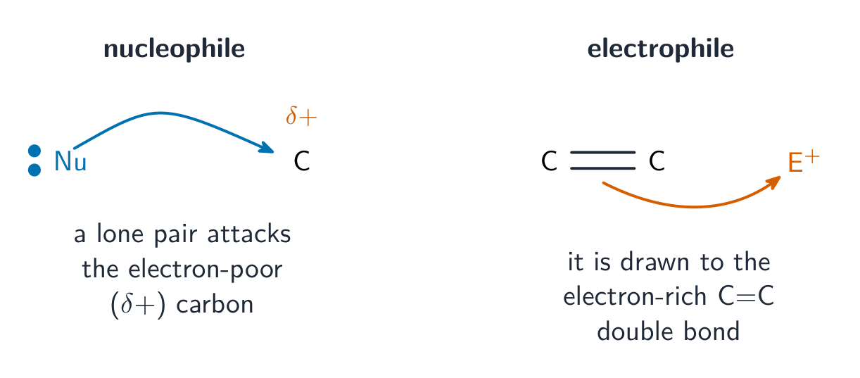 A nucleophile using its lone pair to attack a slightly positive carbon; an electrophile being drawn to a C=C double bond