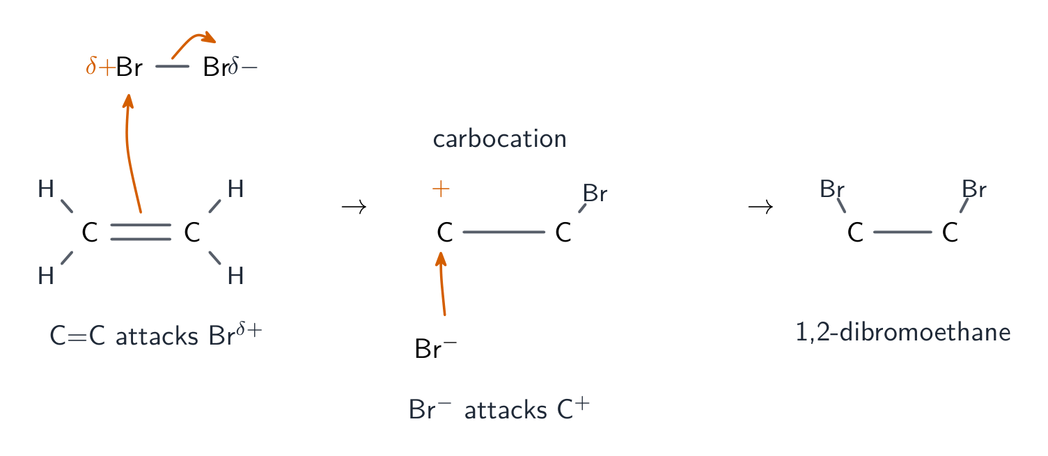 The mechanism of bromine adding to ethene: curly arrows show the C=C attacking one bromine, a carbocation forming, then bromide attacking it to give 1,2-dibromoethane