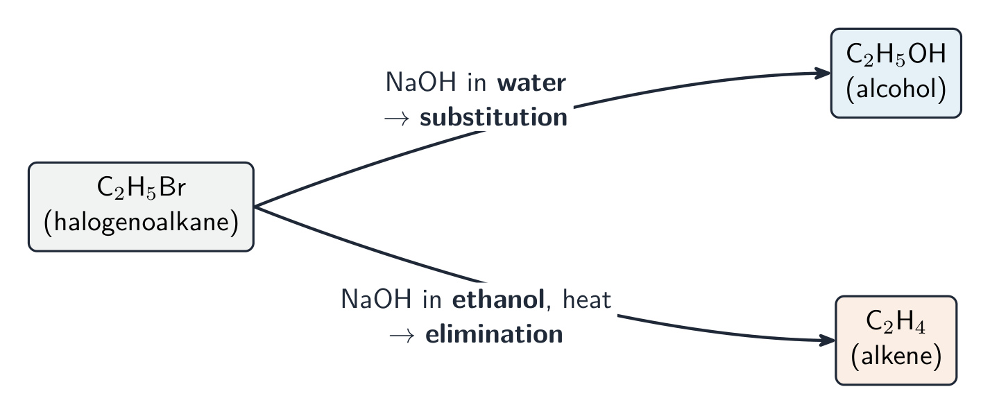 The solvent decides whether a halogenoalkane substitutes or eliminates