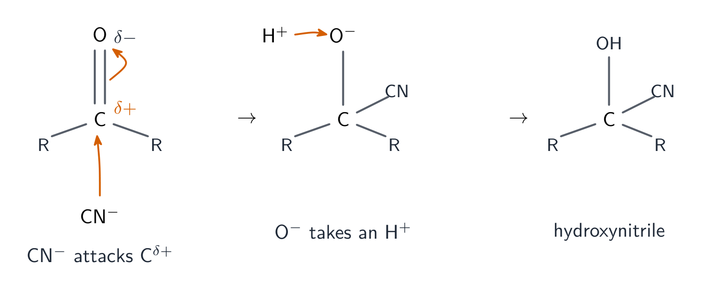 The HCN addition mechanism: cyanide attacking the slightly positive carbonyl carbon, the C=O breaking to give a negative oxygen, then the oxygen taking a proton
