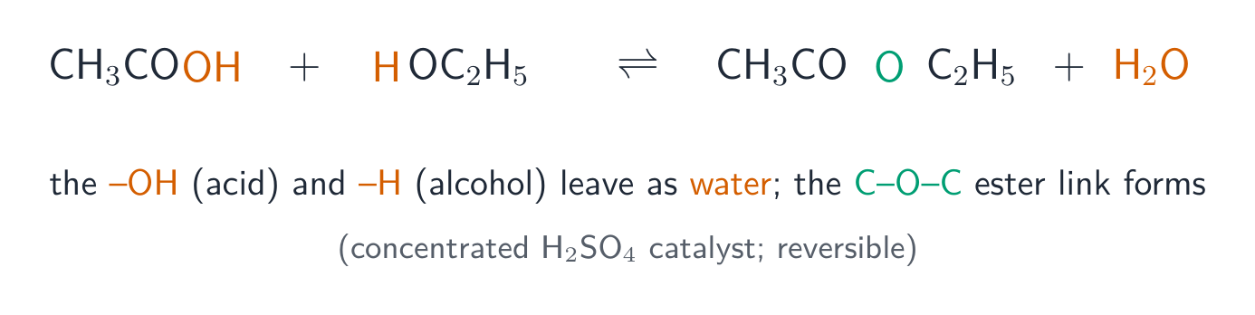 The esterification equation with the OH from the acid and the H from the alcohol highlighted as the atoms that leave as water, and the new ester oxygen link highlighted