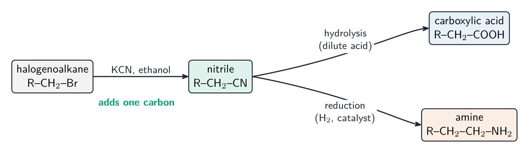 A scheme: a halogenoalkane becoming a nitrile with KCN (adding one carbon), then the nitrile hydrolysing to a carboxylic acid or reducing to an amine