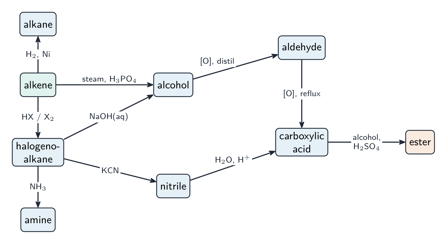 A network diagram linking alkene, alkane, halogenoalkane, alcohol, aldehyde, nitrile, amine, carboxylic acid and ester by labelled reagent arrows