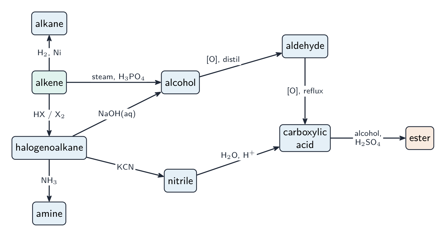 Un diagramme en réseau reliant l'alcène, l'alcane, l'halogénure d'alkyle, l'alcool, l'aldéhyde, la nitrile, l'amine, l'acide carboxylique et l'ester par des flèches de réactifs étiquetées