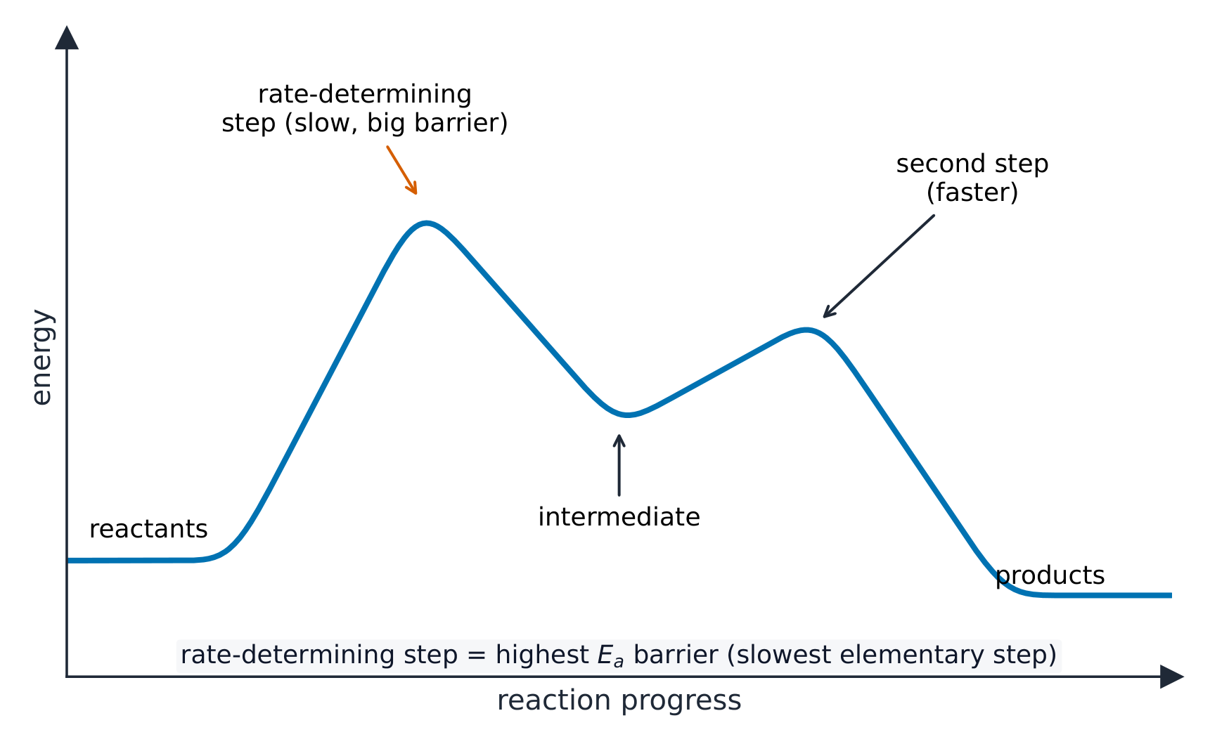 A reaction energy profile with two humps: a tall first barrier marked as the slow rate-determining step, a dip for the intermediate, then a smaller second barrier