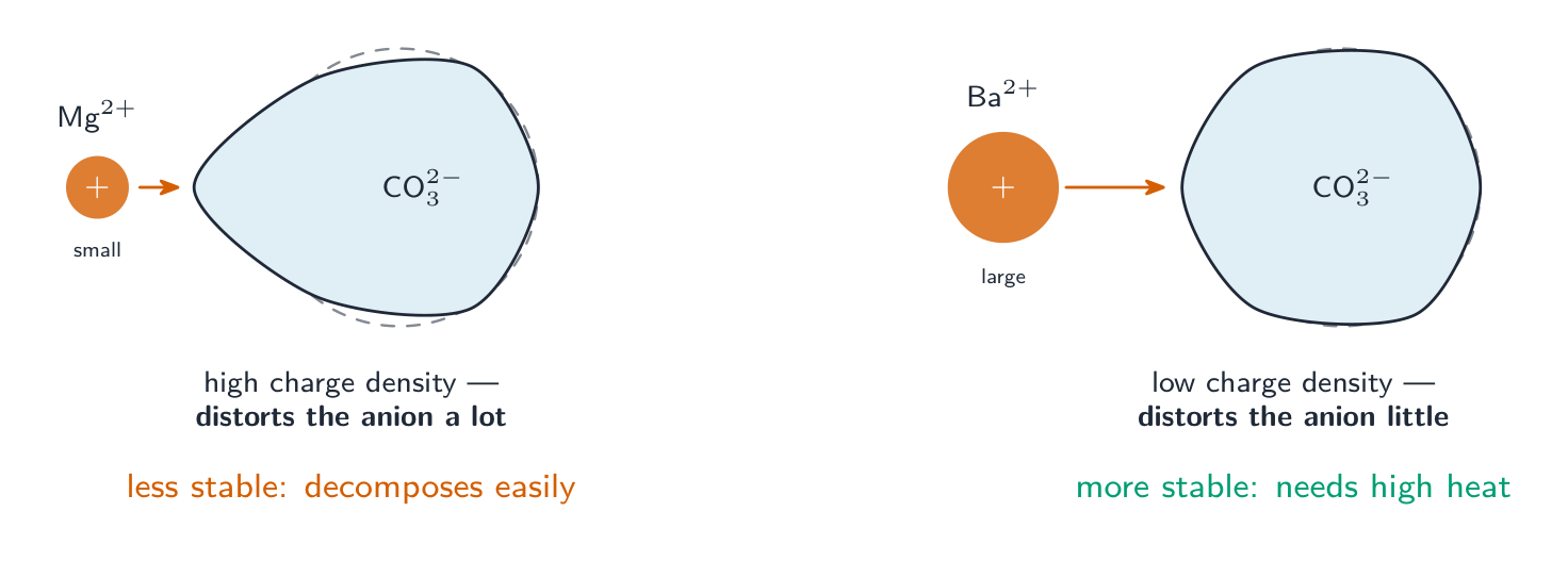 Two scenarios: a small magnesium cation strongly distorts the carbonate anion's electron cloud into a teardrop shape, while a large barium cation barely distorts it