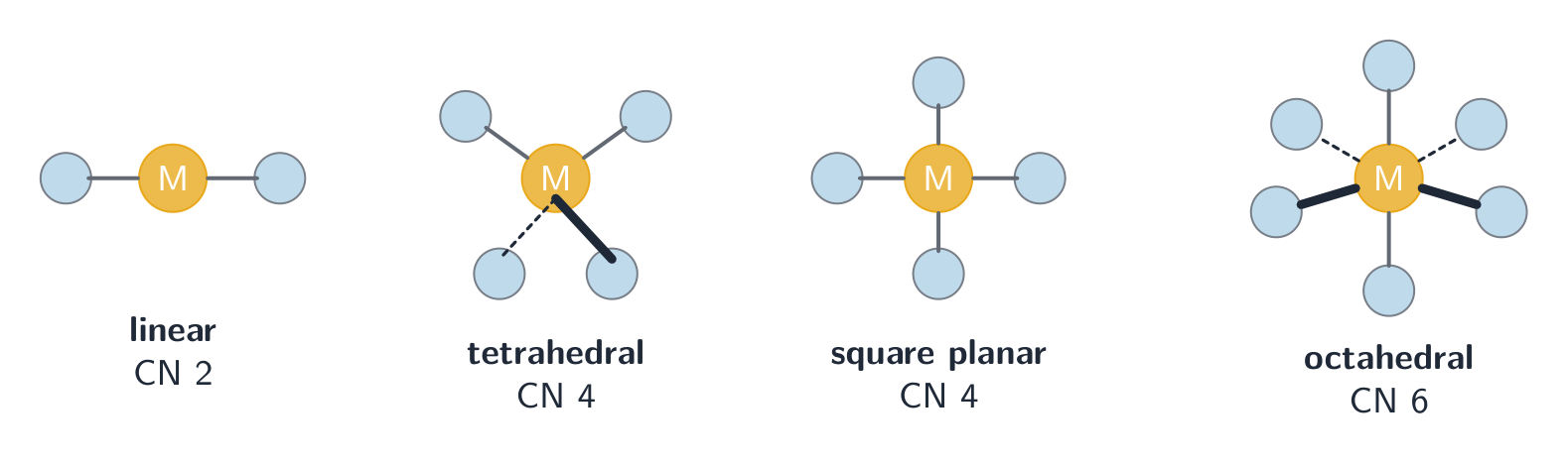 Four complexes: a linear two-ligand, a tetrahedral and a square planar four-ligand, and an octahedral six-ligand, each labelled with its coordination number