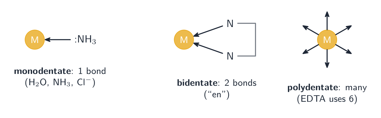 A metal ion with a monodentate ligand making one bond, a bidentate ligand making two bonds, and a polydentate ligand making six