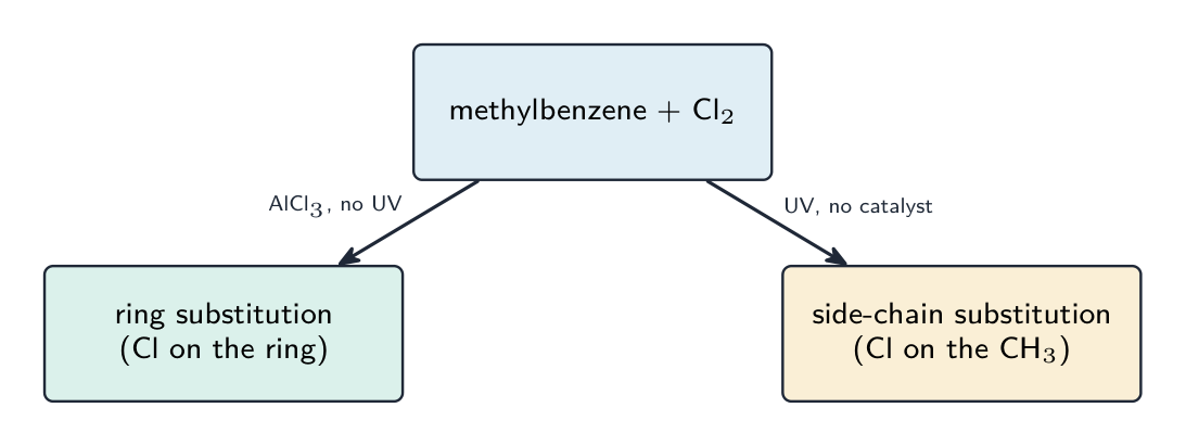 Methylbenzene with chlorine branching two ways: with AlCl3 and no UV the chlorine substitutes the ring, with UV and no catalyst it substitutes the side-chain methyl group