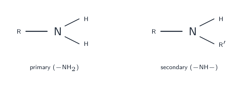 A primary amine has -NH2; a secondary amine has -NH between two carbons