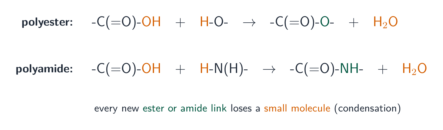 A carboxyl group joining a hydroxyl to form an ester link and a carboxyl joining an amine to form an amide link, each releasing a water molecule