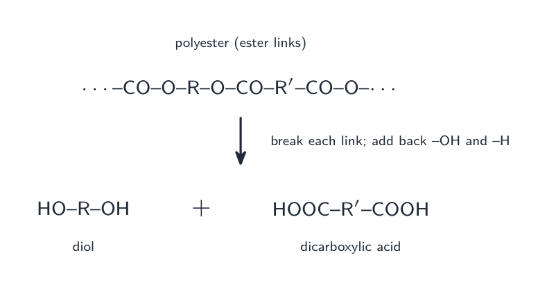 A polyester chain broken at its ester links and the cut ends given back -OH and -H, to recover the diol and the dicarboxylic acid monomers