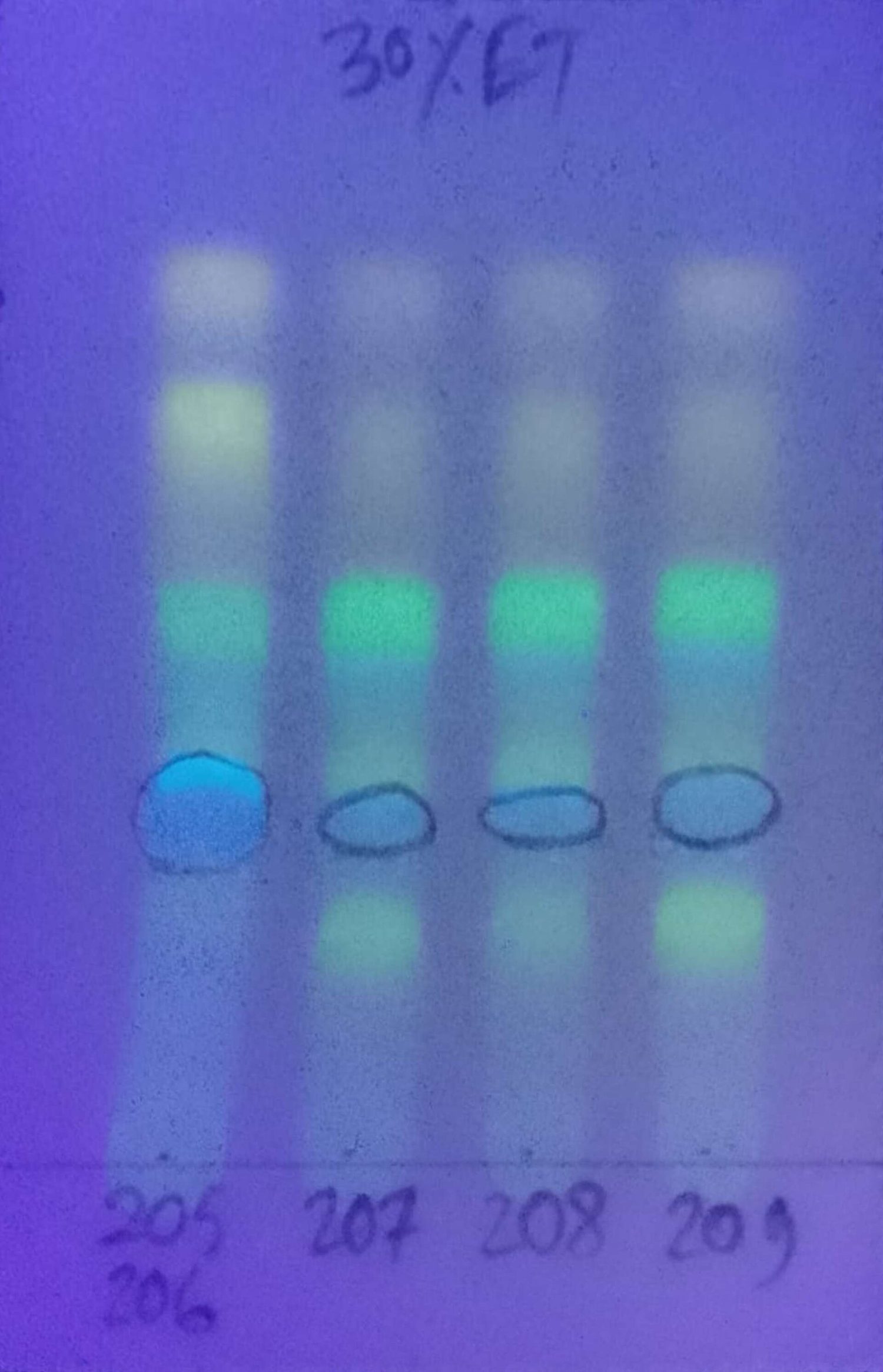 A developed TLC plate glowing under ultraviolet light