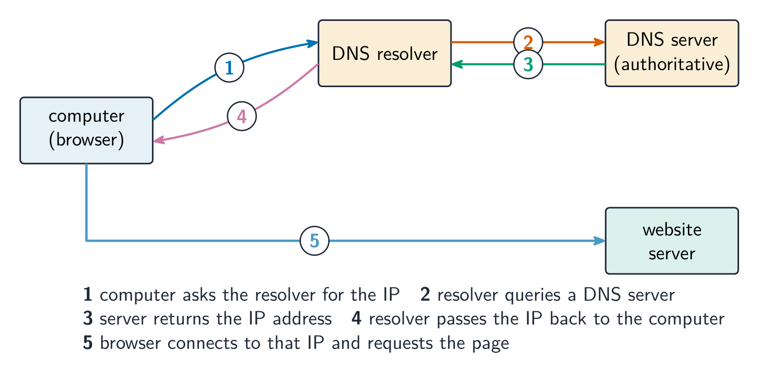 Numbered one to five: the computer asks a DNS resolver for the IP, the resolver queries another DNS server, the IP is returned to the resolver and then the computer, and the browser connects to the website server