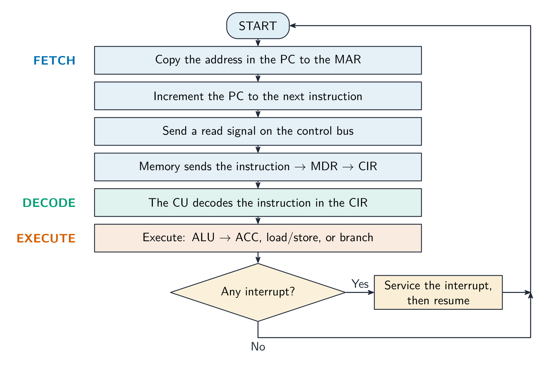 Flowchart of the fetch-execute cycle from START: the fetch stage (PC to MAR, increment PC, read signal, memory to data bus to MDR to CIR), the decode stage, the execute stage, then a check for interrupts that loops back to START