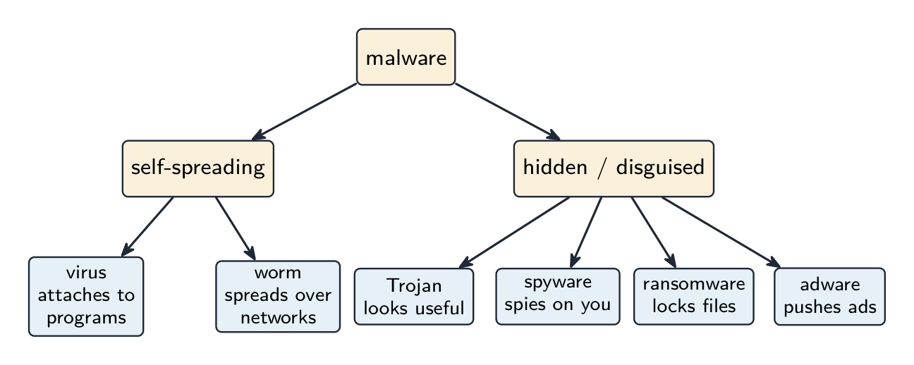 Malware grouped by behaviour: self-spreading types are the virus (attaches to programs) and worm (spreads over networks); hidden or disguised types are the Trojan (looks useful), spyware, ransomware and adware