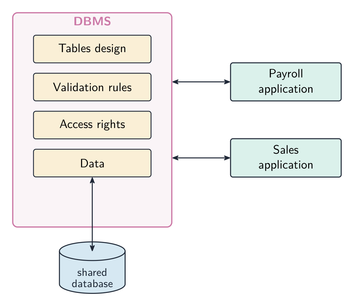 One DBMS holding tables design, validation rules, access rights and the data, with a single shared database, used by both the payroll and sales applications
