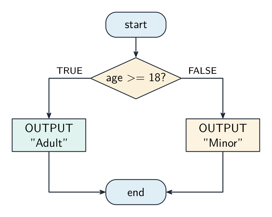 A flowchart: from start, a decision diamond tests age >= 18; the TRUE branch outputs Adult and the FALSE branch outputs Minor, and both rejoin at end