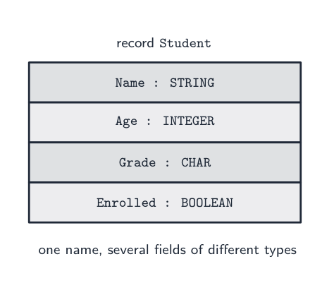 A record Student with fields Name, Age, Grade and Enrolled, each of a different type