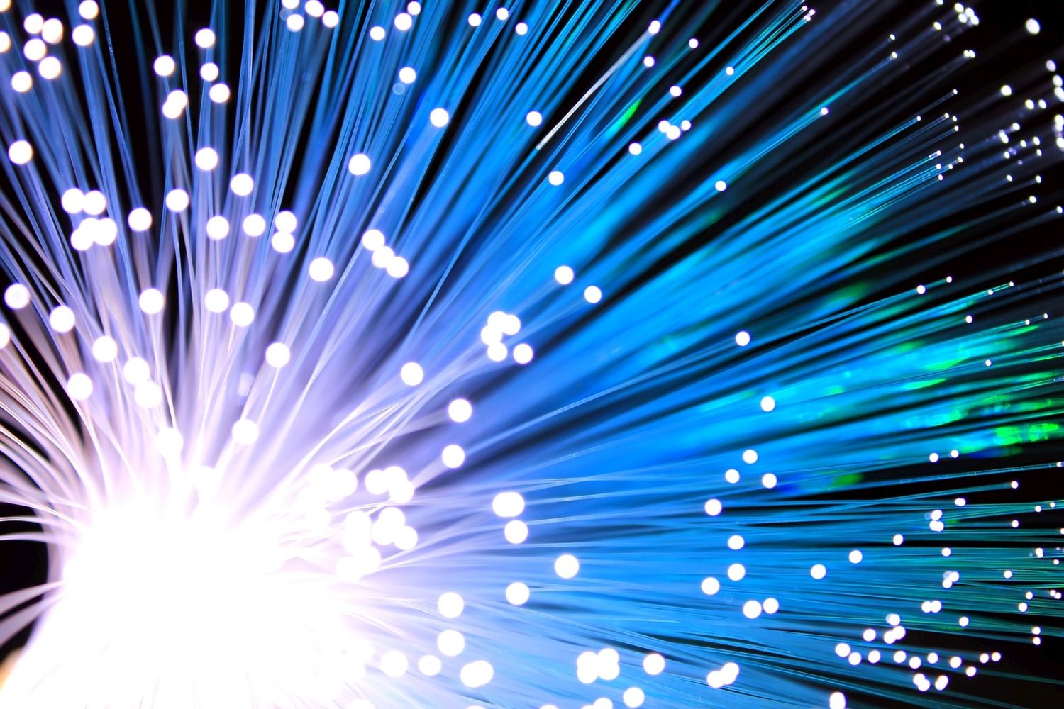 A bundle of fibre-optic strands fanning out against a dark background, each thin glass strand glowing with a point of blue-white light at its tip