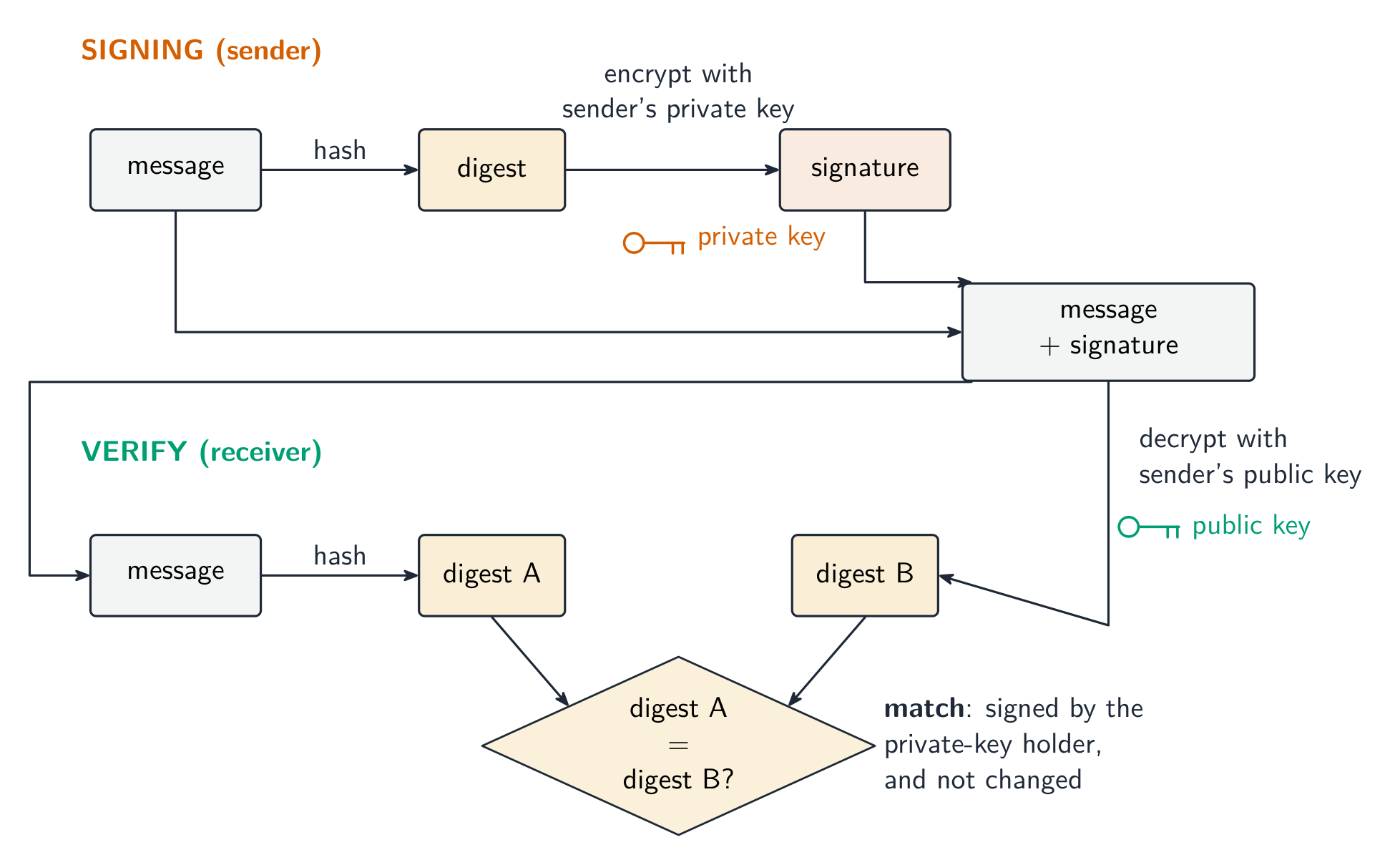 The sender hashes the message to a digest and encrypts it with their private key to form the signature; the receiver re-hashes the message and decrypts the signature with the sender's public key, then compares the two digests