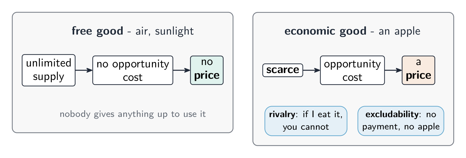 A free good like air has unlimited supply, no opportunity cost and no price; an economic good like an apple is scarce, has an opportunity cost and a price, with rivalry and excludability