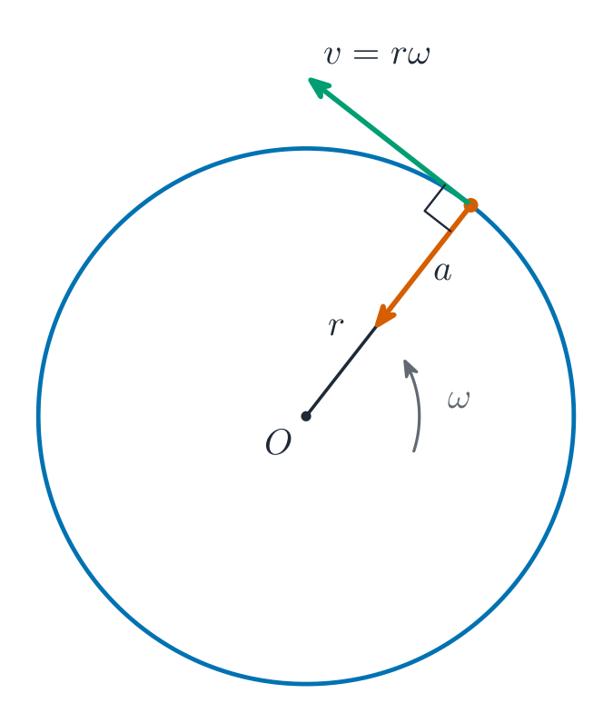 A particle on a circle with velocity along the tangent and acceleration toward the centre