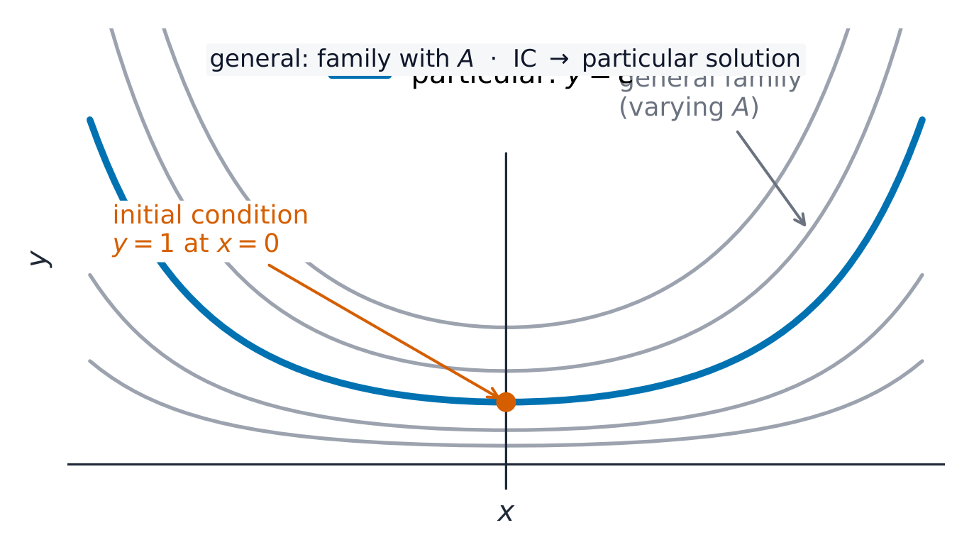 The constant gives a family of curves; an initial condition picks out one