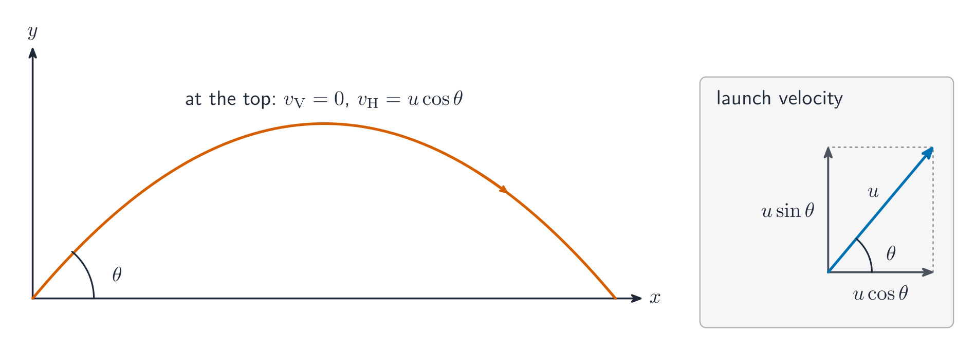 Diagrama de un proyectil lanzado en un ángulo sobre la horizontal: trayectoria parabólica desde el origen, la velocidad inicial resuelta en componente horizontal y componente vertical , con ejes y etiquetados