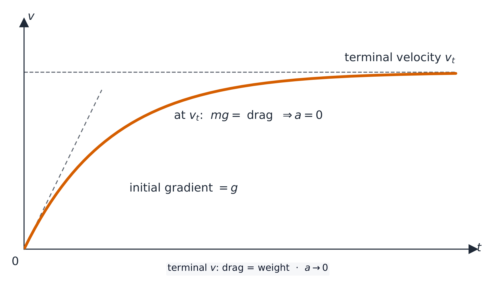 Velocity-time graph showing speed rising with initial gradient g, then curving and levelling off at the terminal velocity, with a dashed tangent at the origin and a dashed asymptote