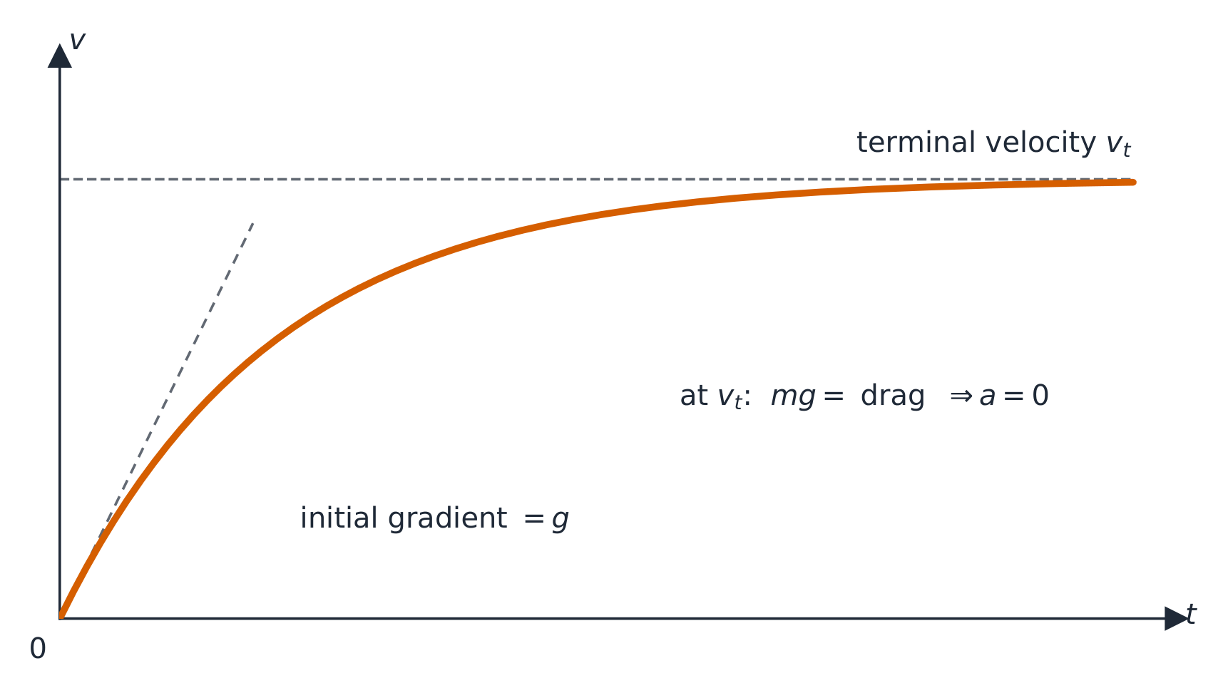 Gráfico velocidad-tiempo mostrando la velocidad aumentando con una pendiente inicial g, luego curvándose y nivelándose en la velocidad terminal, con una tangente punteada en el origen y una asíntota punteada